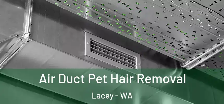  Air Duct Pet Hair Removal Lacey - WA