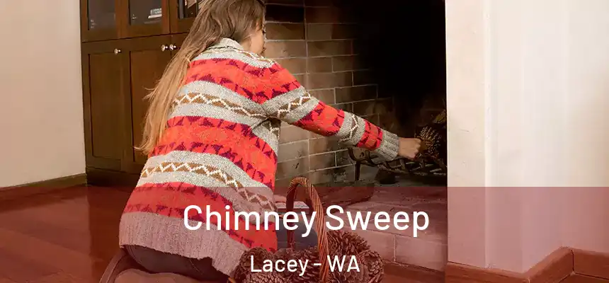  Chimney Sweep Lacey - WA
