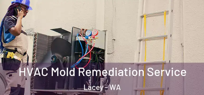  HVAC Mold Remediation Service Lacey - WA