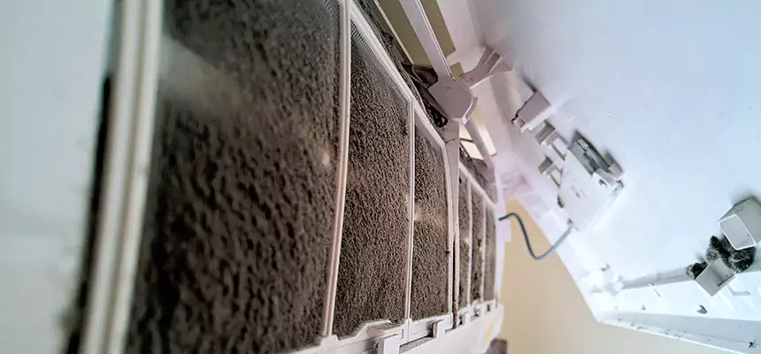 Preventive Air Duct Bacteria Removal in Lacey