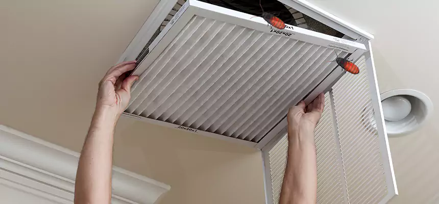 Preventive Cockroach-Proofing for Ducts in Lacey