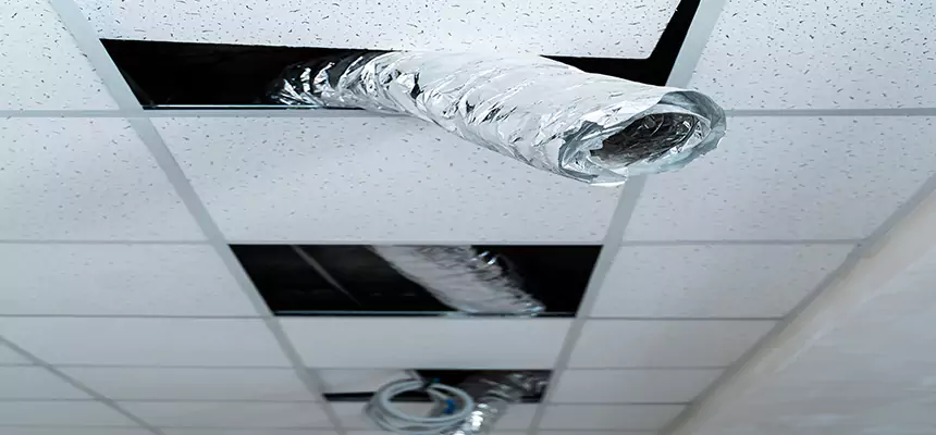 Our Air Duct Pet Hair Removal Services in Lacey, WA