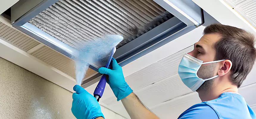 Proactive Dryer Vent & Auxiliary Duct Pollen Cleanup in Lacey, WA