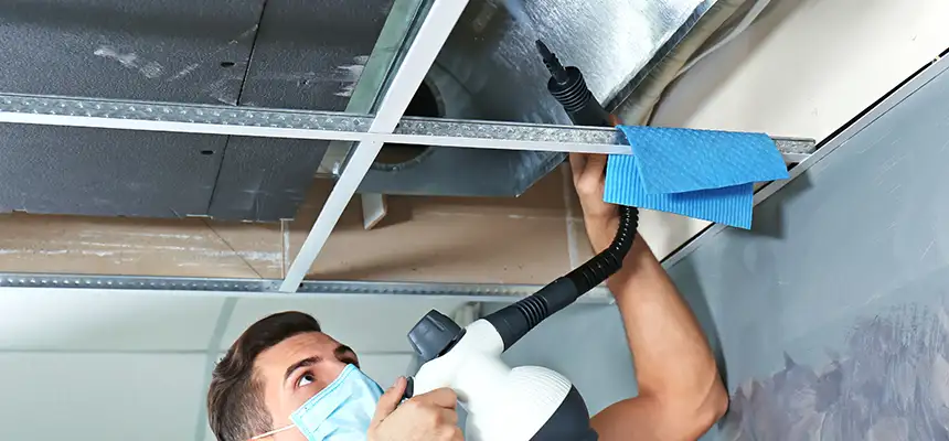 Our Air Duct Rodent Removal Services in Lacey, WA