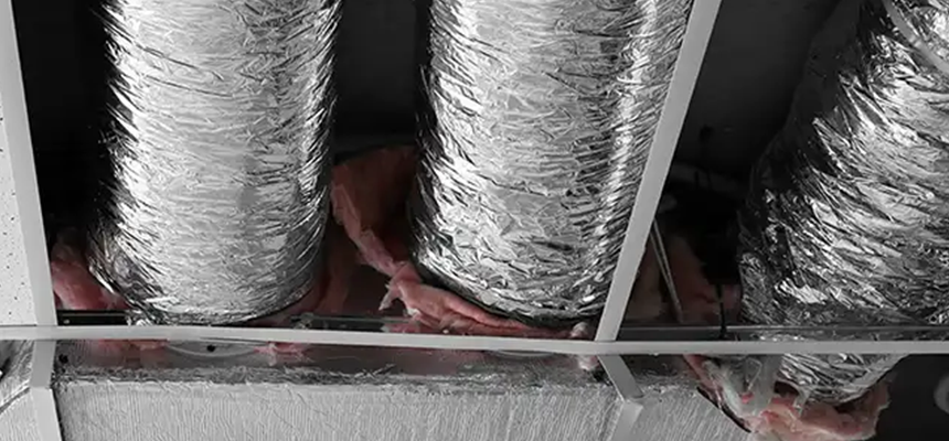 Scalable Commercial Multi‑Unit Dryer Vent Camera Inspection in Lacey, WA