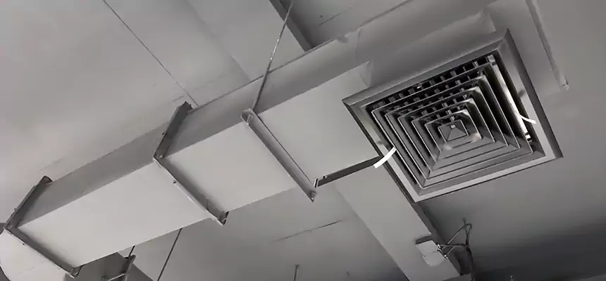 Our Pest Removal From Ducts Services in Lacey, WA