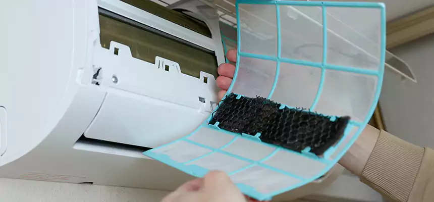 Gentle Ductwork Odor-Control Pet Dander Duct Cleaning in Lacey, WA