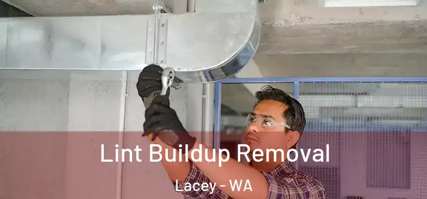  Lint Buildup Removal Lacey - WA