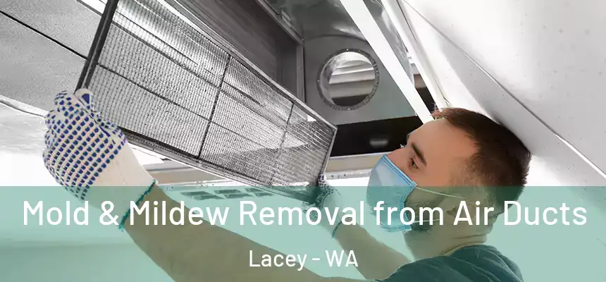  Mold & Mildew Removal from Air Ducts Lacey - WA