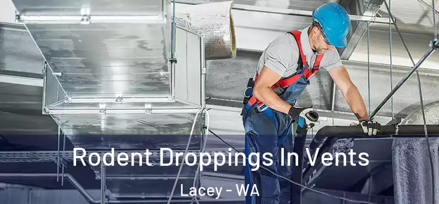  Rodent Droppings In Vents Lacey - WA