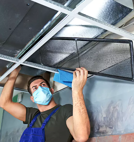 Professional Air Duct Pollen Cleaning in Lacey, WA