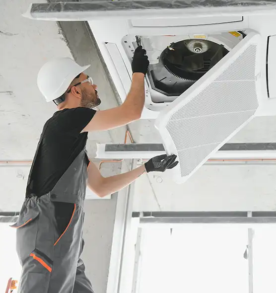 About Air Duct Rodent Removal in Lacey, WA