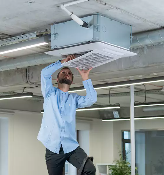 Advanced Rodent Droppings In Vents in Lacey, WA