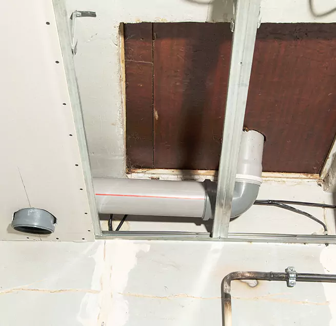 Why Homeowners & Businesses Trust Us in Lacey, WA?