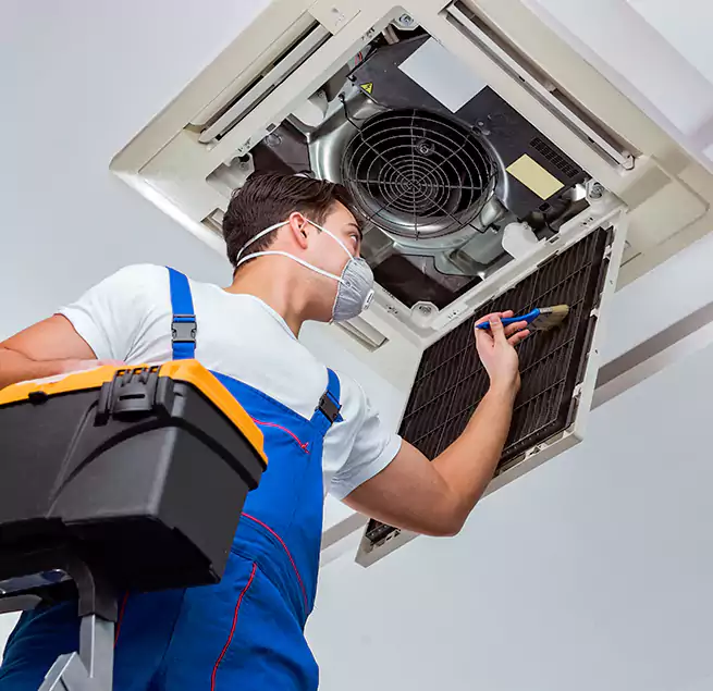 Why Homeowners & Businesses Trust Us in Lacey, WA