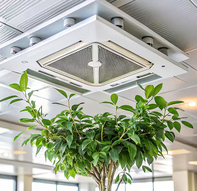 Why Homeowners & Businesses Trust Us in Lacey, WA?