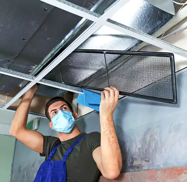 Why Homeowners Businesses Trust Us in Lacey, WA